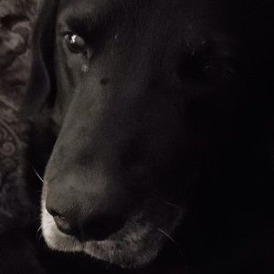 Meet your Posher, Austin